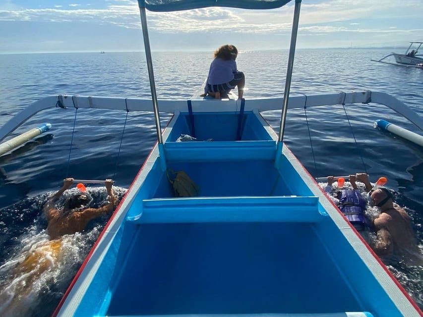 Lovina Dolphin Watching + Swimming with dolphin Private tour - Swimming With Wild Dolphins: What to Expect in the Water