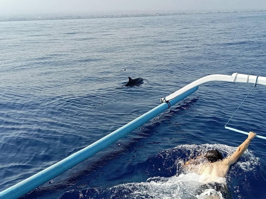 Lovina Dolphin Watching + Swimming with dolphin Private tour - Timing, Duration, and How to Plan Your Morning