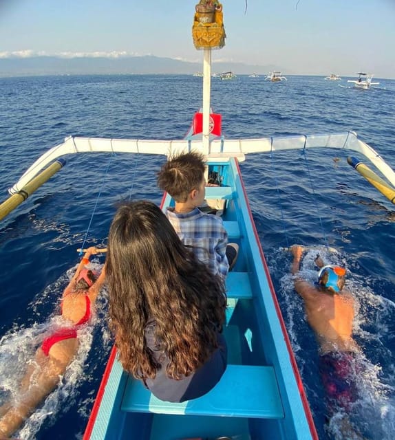 Lovina Dolphin Watching + Swimming with dolphin Private tour - Morning Start in Lovina: How the Day Flows