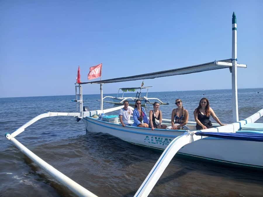Lovina : SPECIAL FULL TRIP dolphin watch, swim, and snorkel - Swimming with dolphins, what’s actually involved and what could change