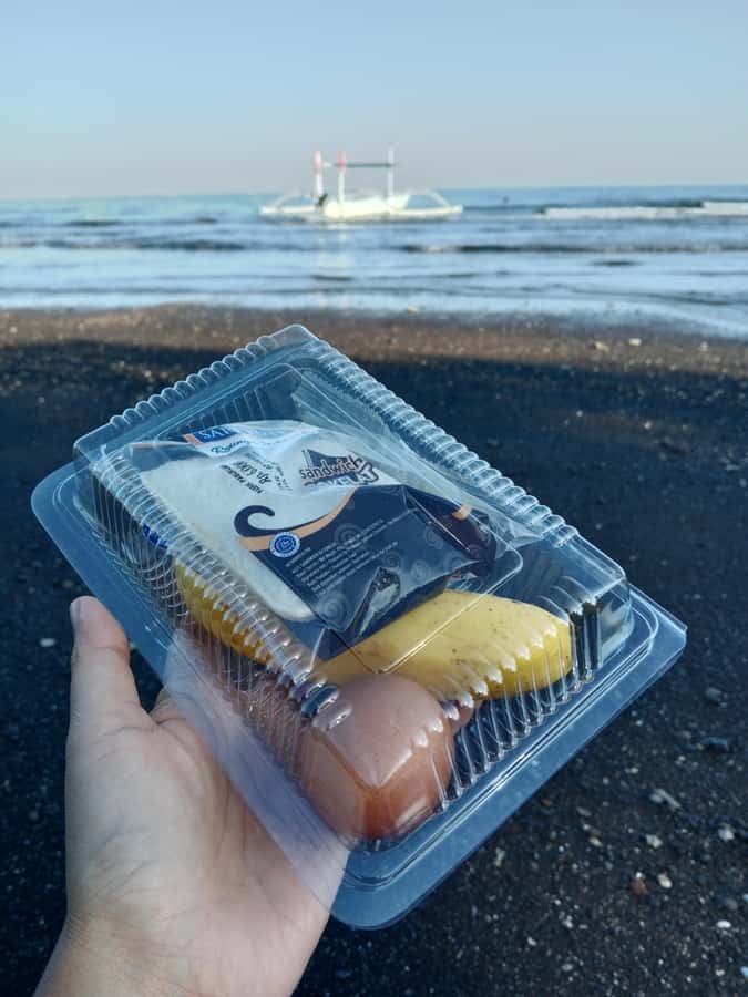 Lovina : SPECIAL FULL TRIP dolphin watch, swim, and snorkel - Pickup timing, group setup, and how private works