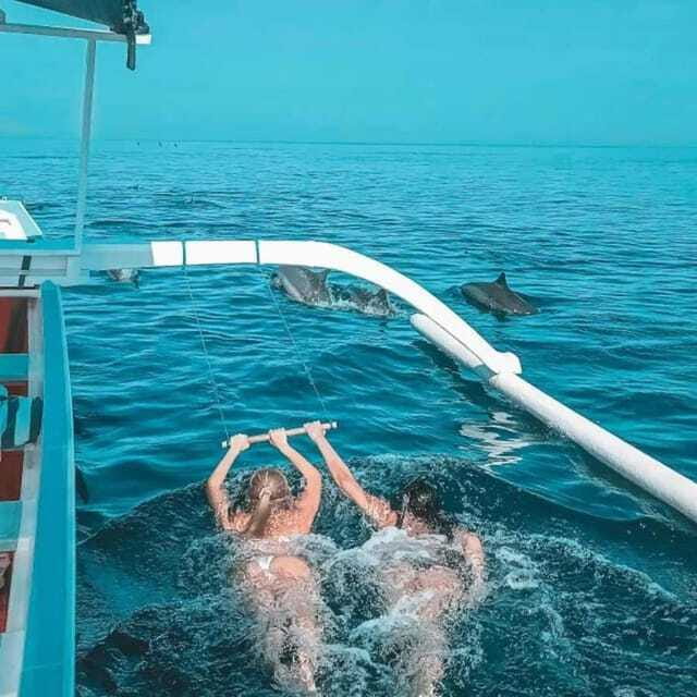 Lovina: Watching Dolphin, Swimming Dolphin Bali Tour - Who This Tour Suits Best (and Who Should Skip It)