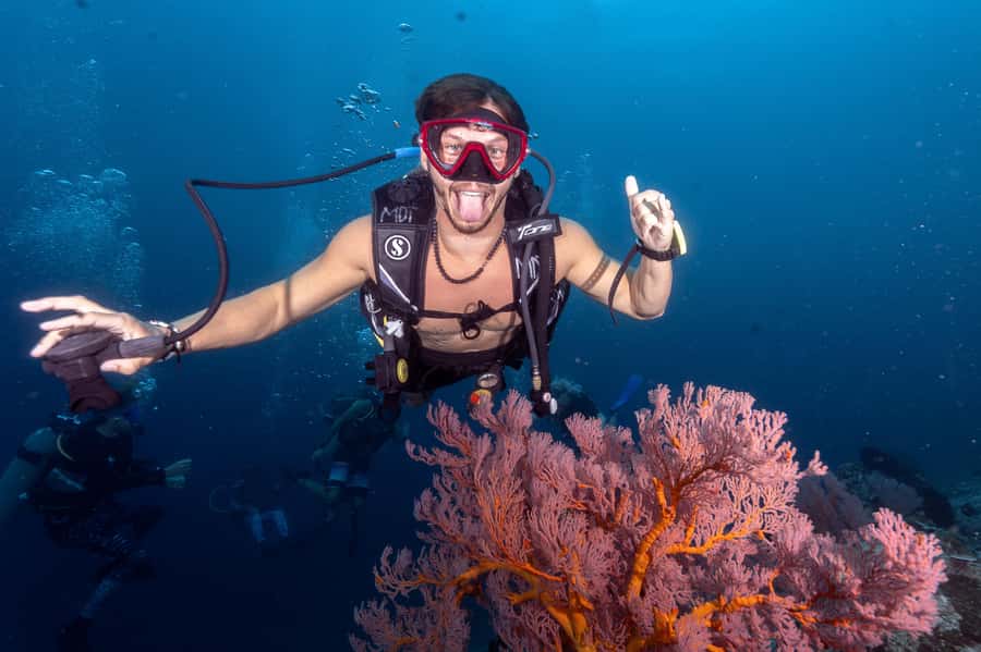 Manta Dive Gili Trawangan: Discover Scuba Diving - Wildlife Sightings: What You Can Reasonably Hope For