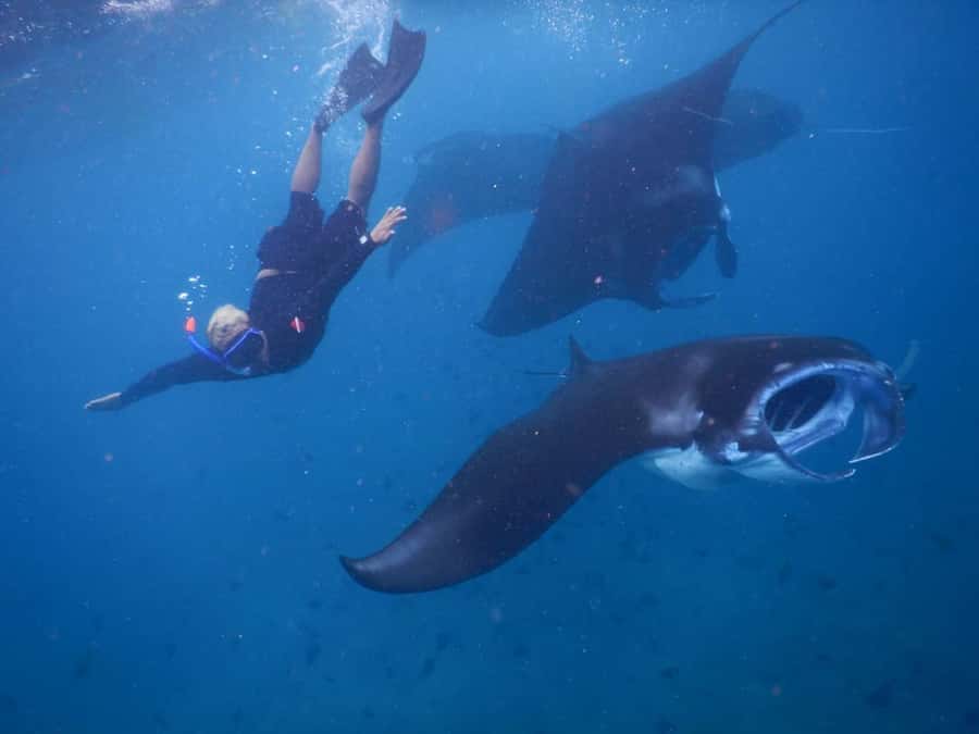 Manta Tour in Nusa Lembongan and Nusa Penida - Manta Rays and Devil’s Tears: why this route feels special