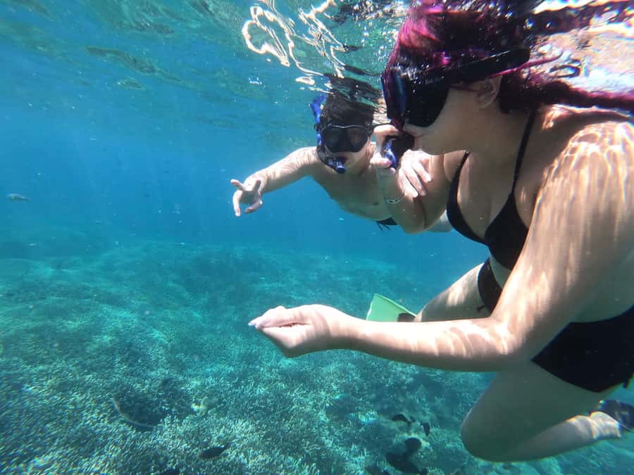 Manta Tour in Nusa Lembongan and Nusa Penida - Crystal Bay or the Wall: how the tour adapts when conditions change