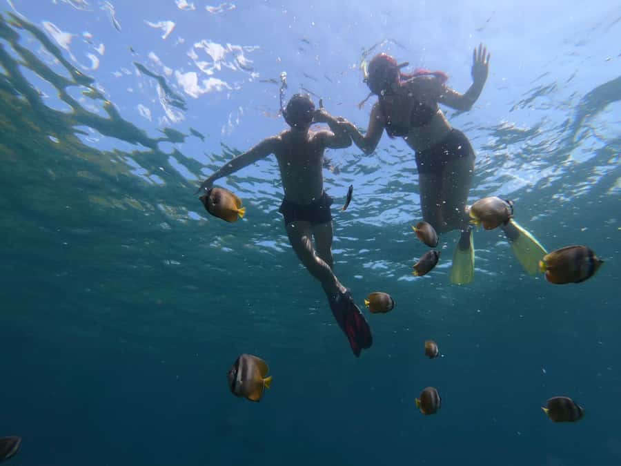 Manta Tour in Nusa Lembongan and Nusa Penida - Jungutbatu, Mount Agung, Devil’s Tears, and Dream Beach