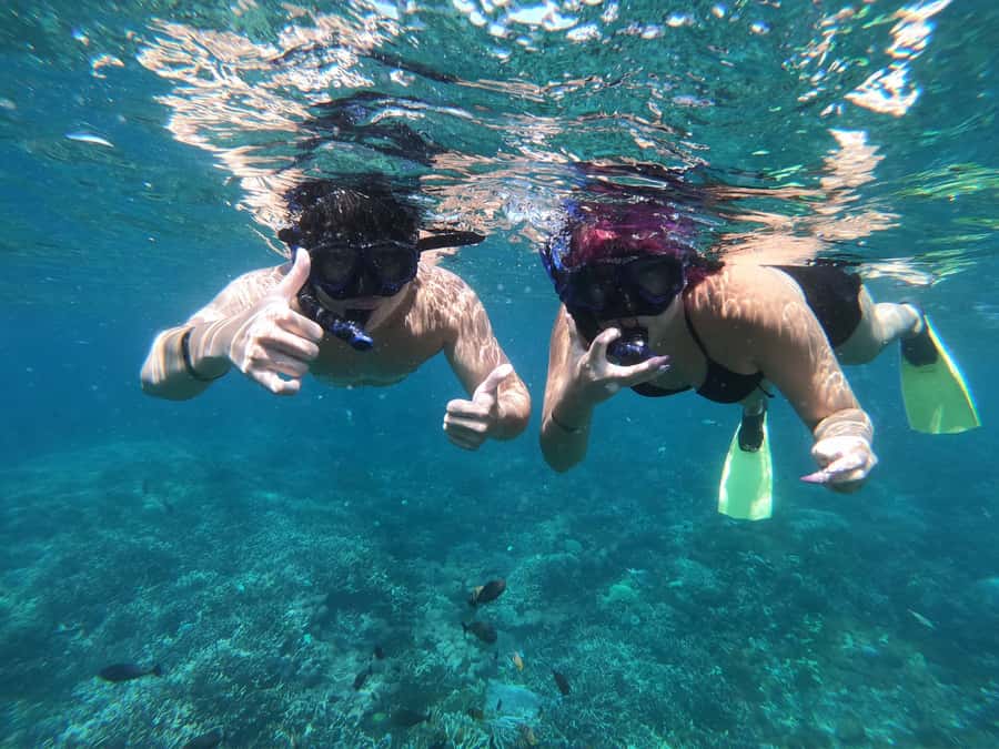 Manta Tour in Nusa Lembongan and Nusa Penida - Price and value: is $90 a good deal for this day?