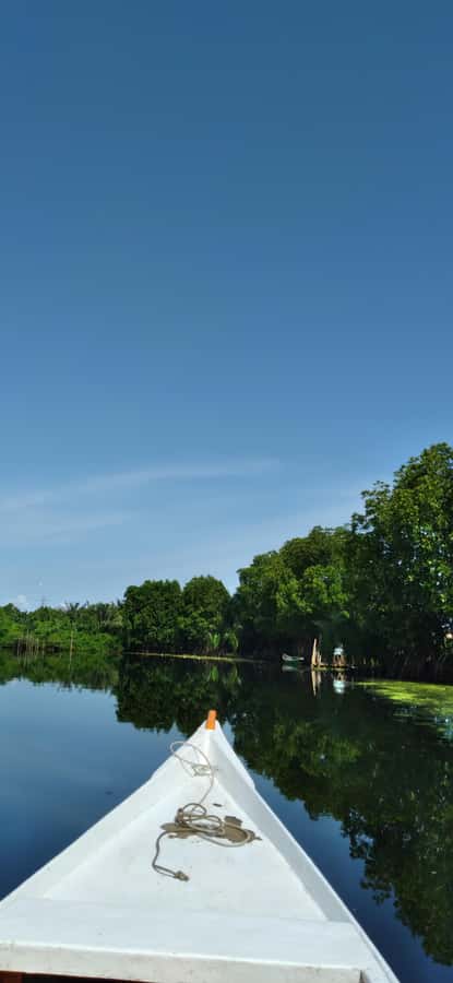 Maros : Rammang Rammang walk & boat trip - Pute River Boat Trip: Slow Views, Better Photos