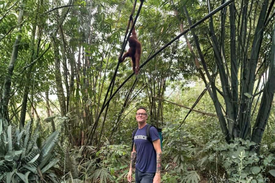 Medan: Mount Leuser National Park Full-Day Trip - Mount Leuser from Medan, without the hassle