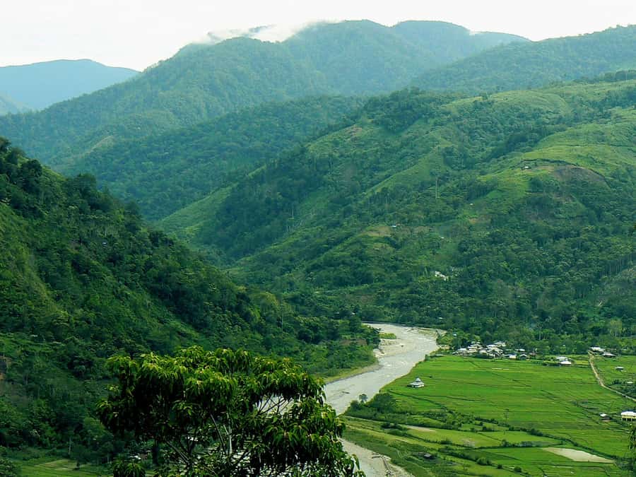 Medan: Mount Leuser National Park Full-Day Trip - How guides improve your odds, especially for orangutans