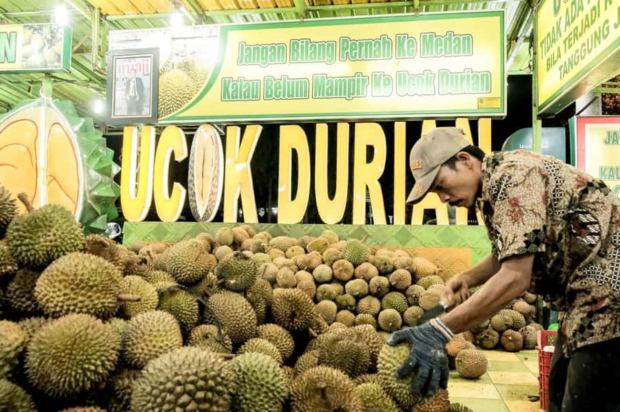 MEDAN : Private Car Driver For Medan Excursions - Crocodile farm start, then faith and architecture in Medan