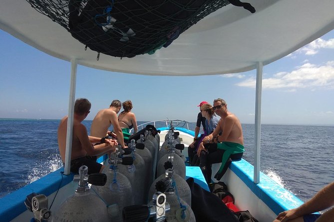 Menjangan island snorkeling full day boat trip - Menjangan Island, Bali Barat National Park, and Why Snorkelers Love It
