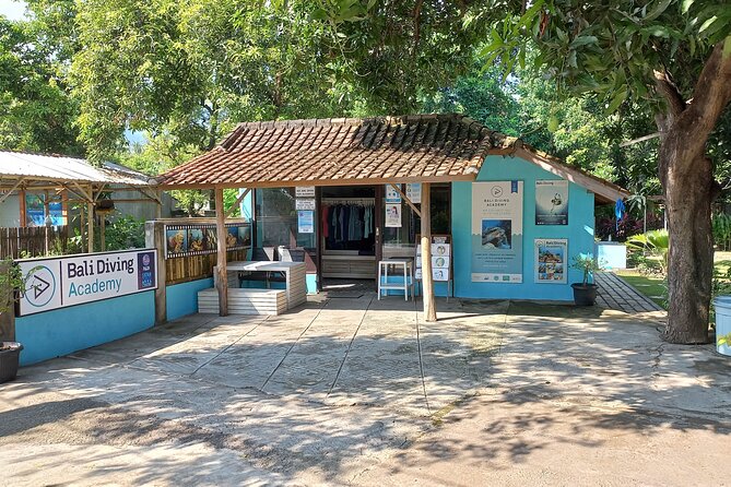 Menjangan island snorkeling full day boat trip - Languages and Group Size: Getting Better Help in the Water