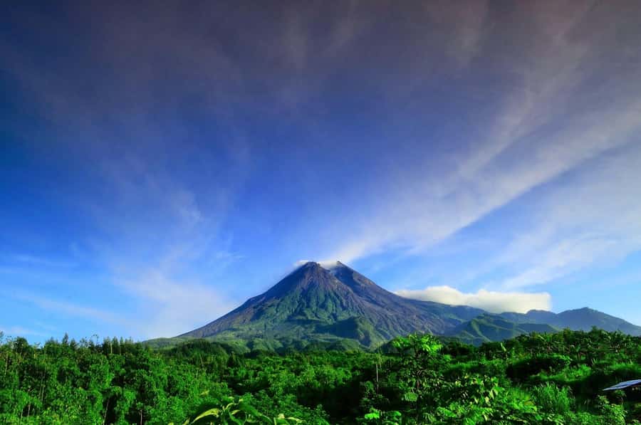 Merapi volcano sunrise with 4wd jeep and step on cold lava - Hotel pickup in Yogyakarta: smoother mornings, smaller groups