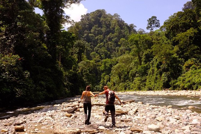 Monkey Business 3 days - 2 nights Jungle trekking (including rafting) - Day 3: river swim, a traditional breakfast, and the final animal hunt