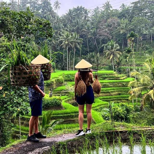 Monkey Forest, Kanto Lampo, Waterfall, Temple & Rice Terrace - How the Guides Make or Break the Day