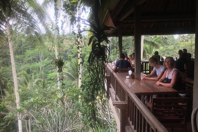 Monkey Forest, Ubud, Waterfall and Rice Terrace - Sacred Monkey Forest Sanctuary: Seeing Them Up Close, Managing the Timing