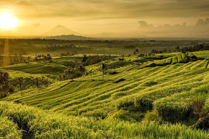 More Complete: Discover Bali In 3 Days Private Tour Package - Private driver-guide, and why the guide matters more than people expect