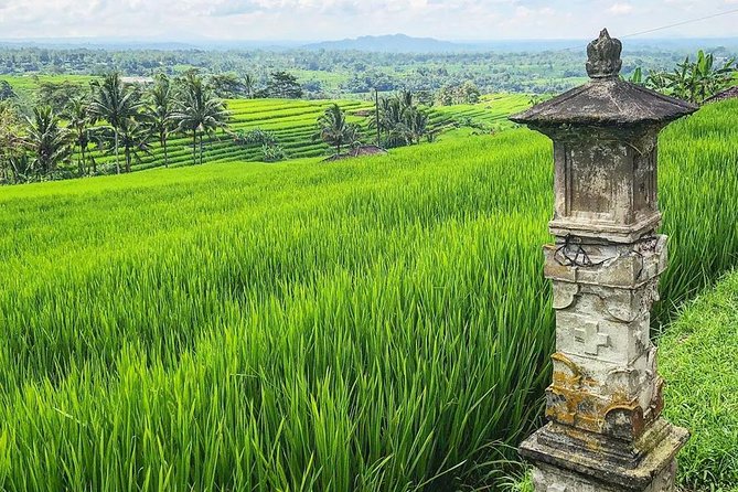 More Complete: Discover Bali In 3 Days Private Tour Package - What all-inclusive means in your day-to-day planning