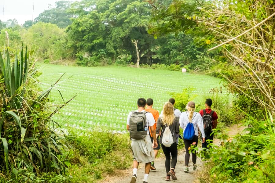 Mount Batur: 2D1N Kintamani Tour with Private Sunrise Hiking - Day 2: The 3.5 AM plan that keeps you at the summit for sunrise