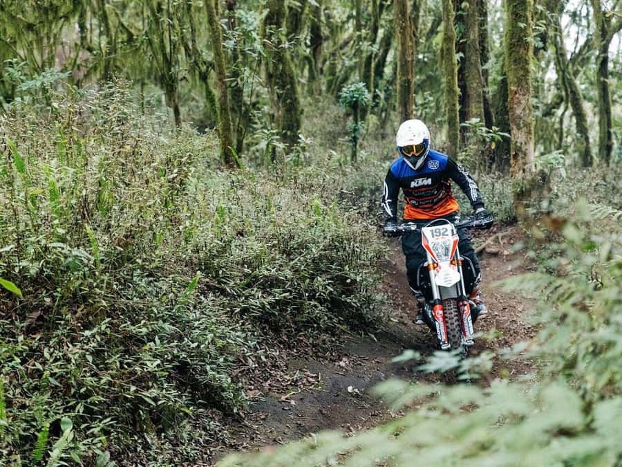Mount Batur: Sunrise Dirt Bike Trek with Trained Riders - Who should book, and who should skip