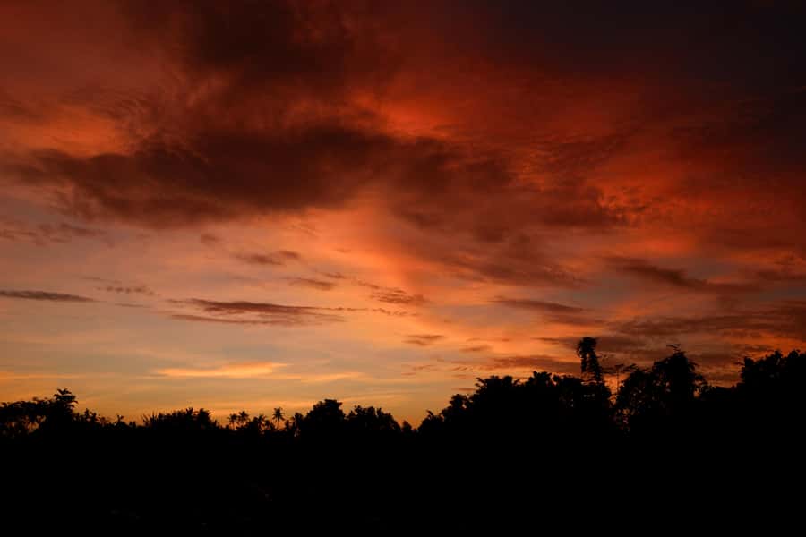 Mount Batur Sunrise Trek & Hot Springs Tour - Midnight trek feel: forest steps, headlamp glow, and real pacing