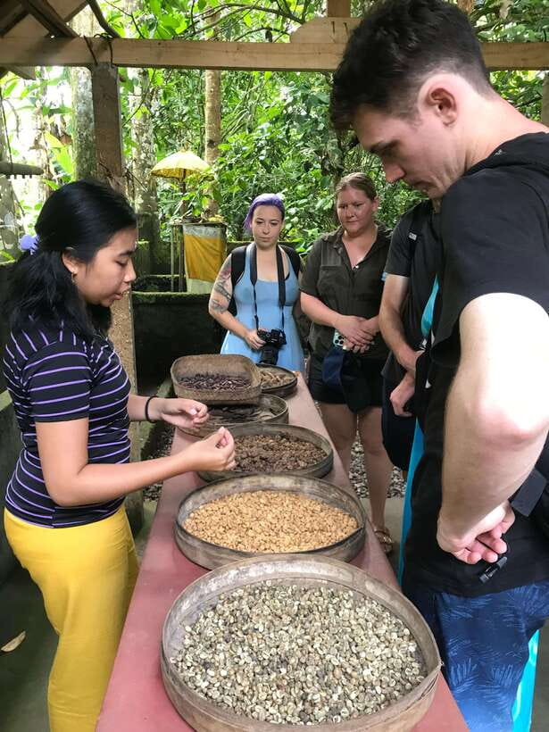 Mount Batur Sunset Trekking And Natural Hot Spring Tour - Pickup, Drop-off, and the Comfort Stuff That Makes a Difference