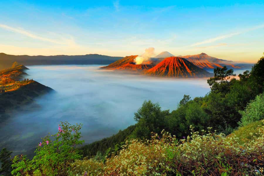 Mount Bromo, Ijen, and Blue Flames 3-Day Tour from Surabaya - Day 2 Pananjakan Sunrise and Bromo Crater Time