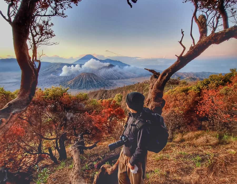 Mount Bromo Sunrise and Madakaripura Waterfall 1 Day Tour - The 4WD off-road climb, then a fast descent to the sea of sand