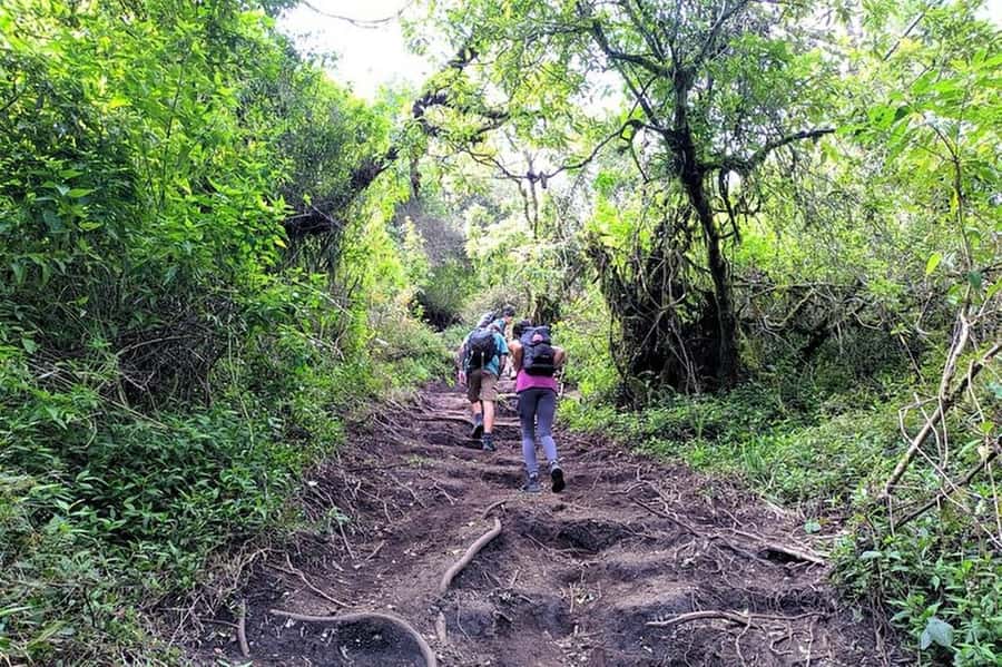 Mount Merbabu Hiking Tour 2D1N With Camping - Price and logistics: what the $86 includes, what you pay on the day