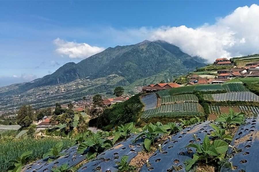 Mount Merbabu Hiking Tour 2D1N With Camping - Who this hike suits, and who should rethink it