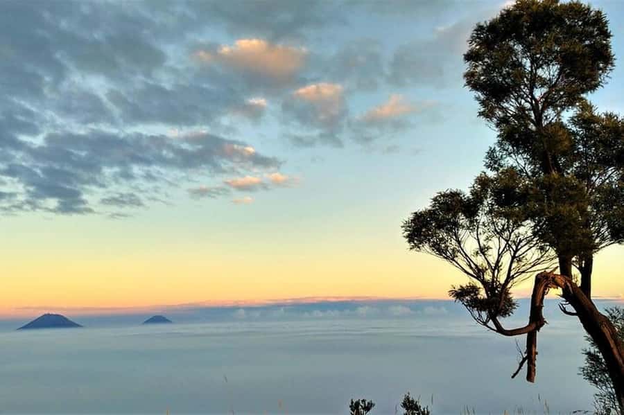 Mount Merbabu Hiking Tour 2D1N With Camping - Should you book this Mount Merbabu 2D1N camping tour?