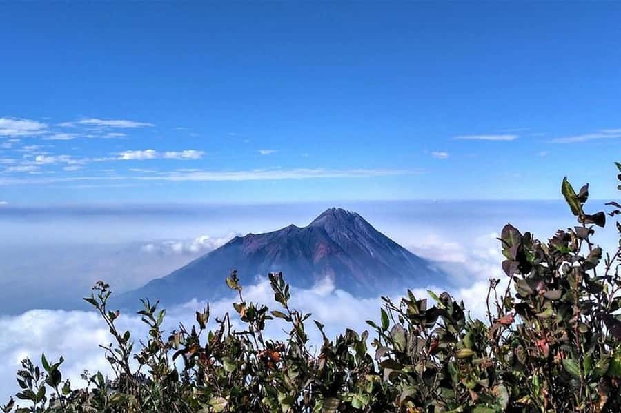 Mount Merbabu Hiking Tour 2D1N With Camping - The 2 days on the trail, from basecamp to 3,142 m sunrise