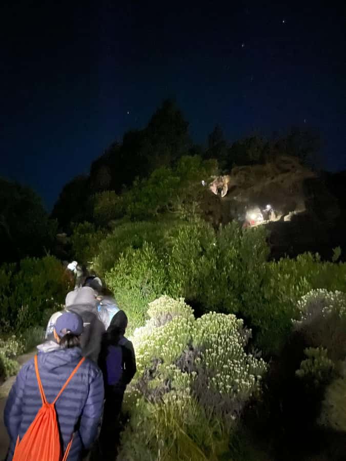 Mount Rinjani: 2D-1N Trekking Summit Sunrise Point Join Tour - Day 1 From Senaru to Sembalun, Then Up to the 2,639m Crater Rim