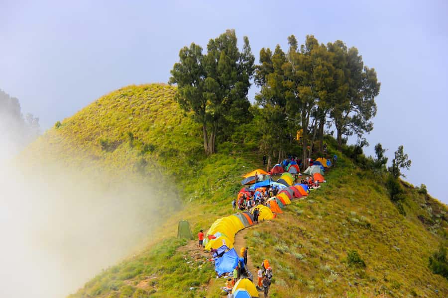 Mount Rinjani: 2D/1N Trekking To Sembalun Or Senaru Views - Day 1 from Senaru transfer to Sembalun crater rim sunset