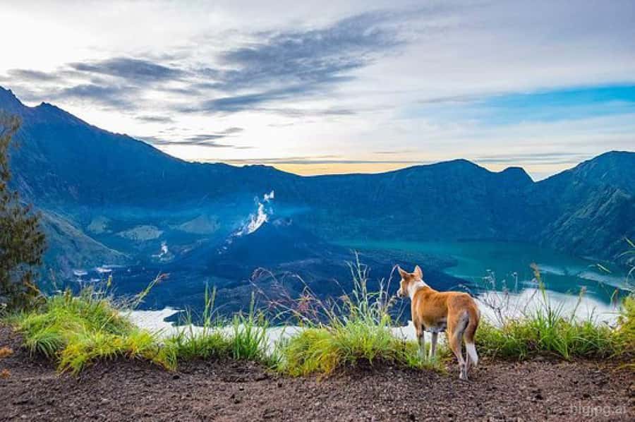 mount rinjani One day trek - Why the terrain is the real challenge, not just the height