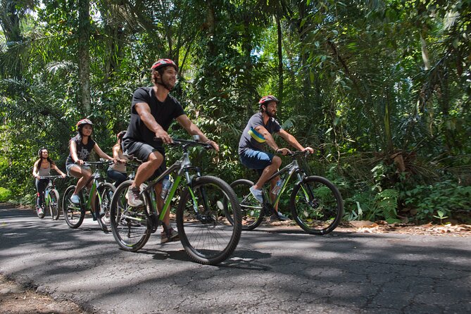 Mountain Cycling Tour - Pace, Fitness, and Who Should Choose This Tour