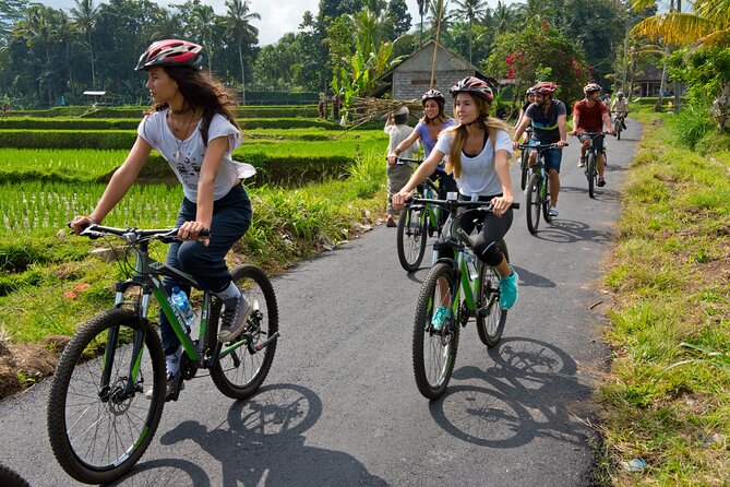 Mountain Cycling Tour - The 2-Hour Ride Through Real Rural Bali