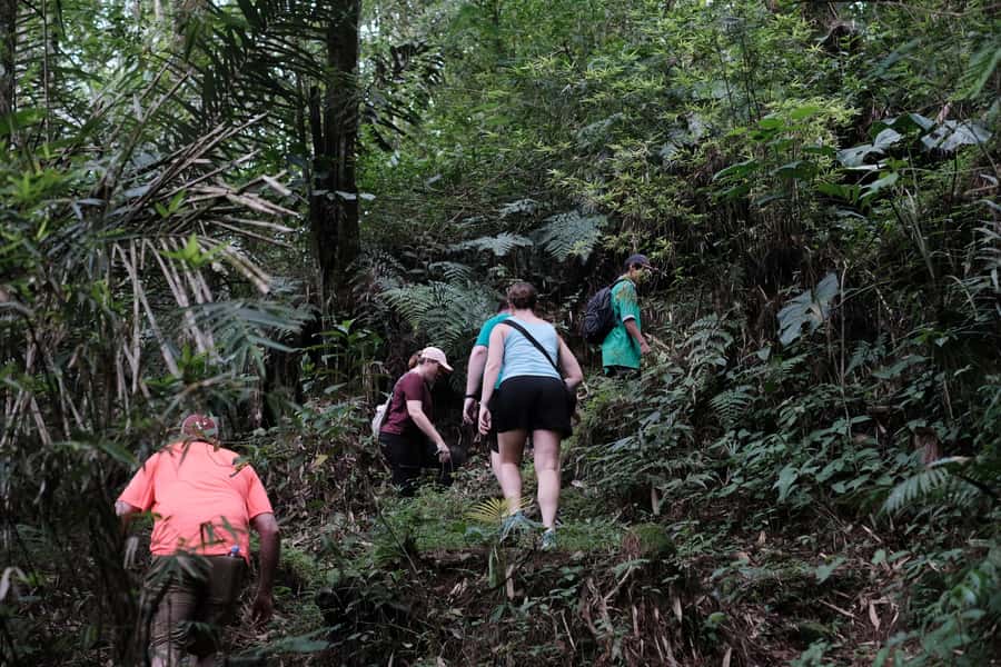 Mt. Merapi Majesty: Soft Trek and Botanic Village Tour - Key moments that make this tour worth your time