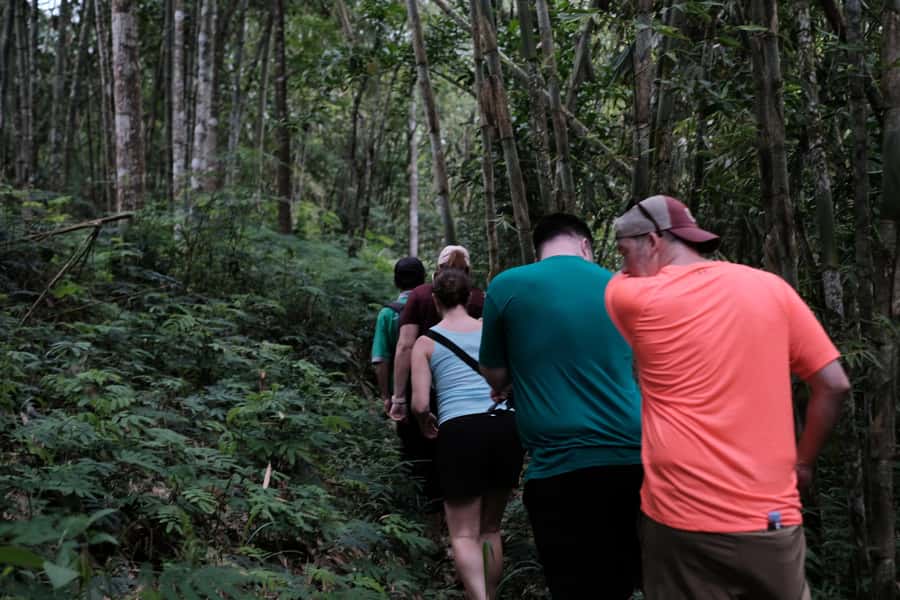 Mt. Merapi Majesty: Soft Trek and Botanic Village Tour - A Merapi nature day that does not require technical hiking