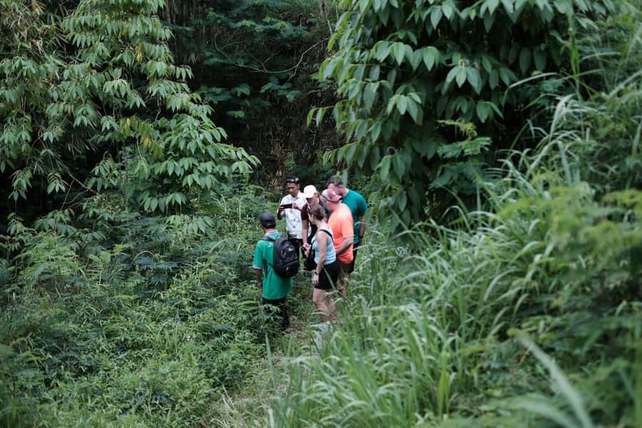 Mt. Merapi Majesty: Soft Trek and Botanic Village Tour - The village stop: guided walking, safety notes, and everyday life