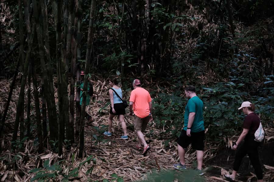 Mt. Merapi Majesty: Soft Trek and Botanic Village Tour - Botanic village tour: plants, orchards, and the orchid farm moment
