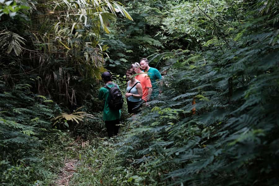 Mt. Merapi Majesty: Soft Trek and Botanic Village Tour - Merapi views: what you can expect, and how to handle cloudy skies