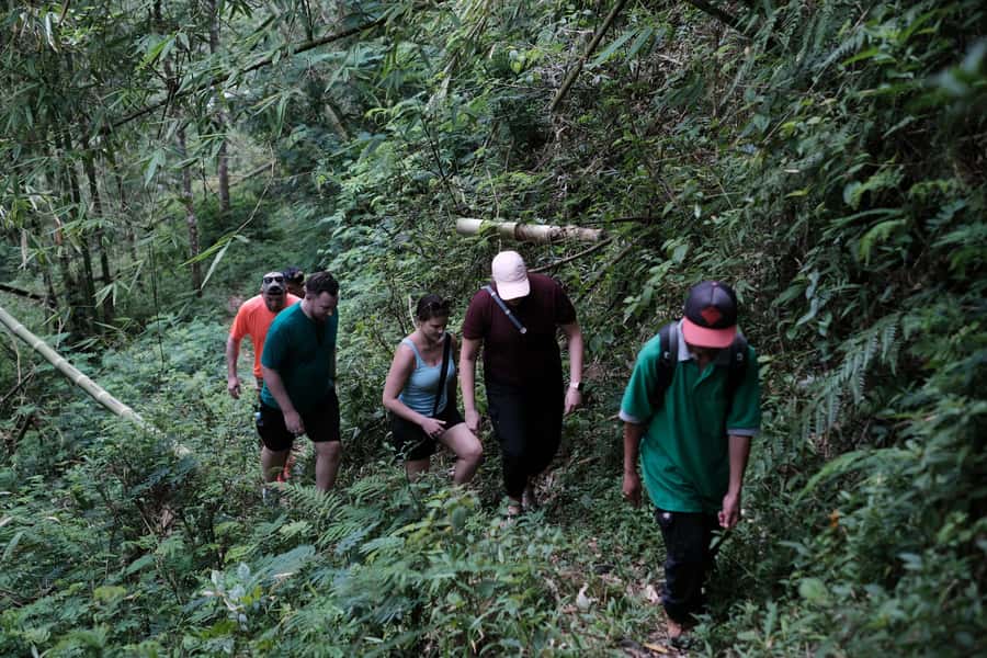 Mt. Merapi Majesty: Soft Trek and Botanic Village Tour - Price and value: why $68 can feel fair for this 6-hour mix