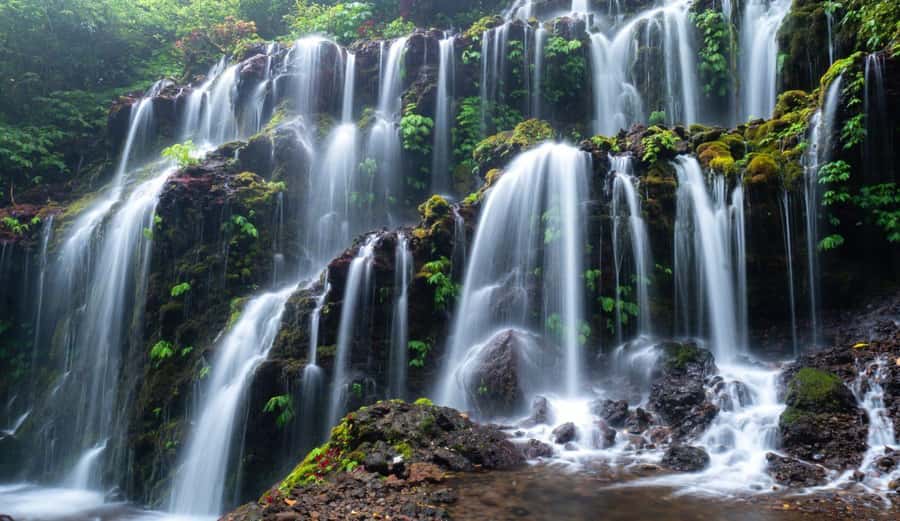 Munduk: Banyu Wana and Sekumpul Waterfall Trekking Tour - Munduk First Light: Rice Terraces and Mountain Air