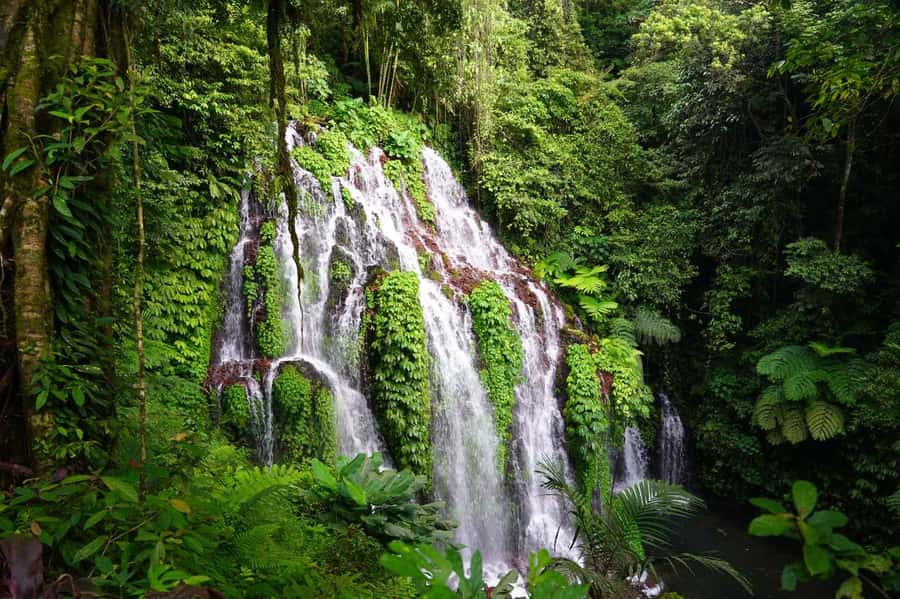 Munduk: Banyu Wana and Sekumpul Waterfall Trekking Tour - Banyu Wana Amerta: Jungle Trekking, Mist, and the Swim Stop
