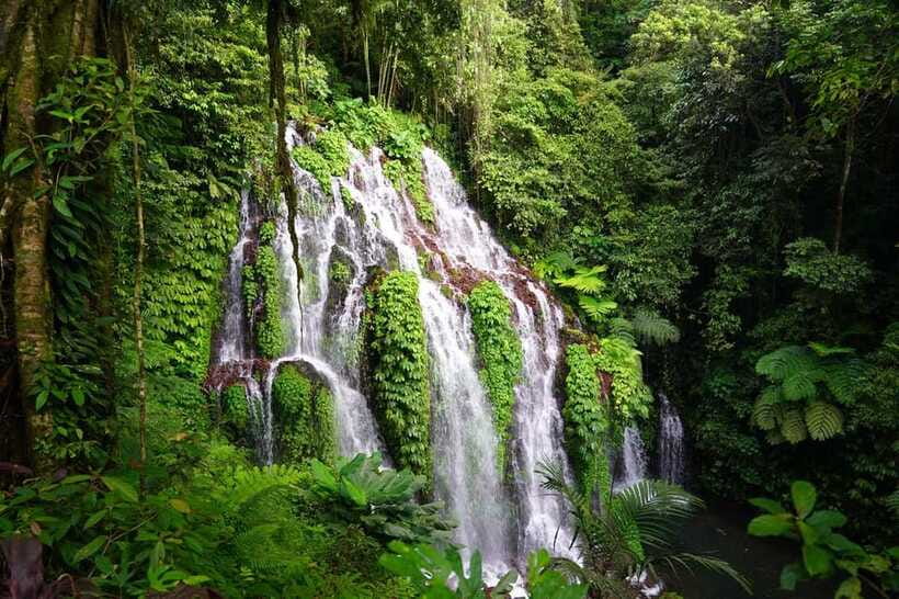 Munduk: Banyu Wana and Sekumpul Waterfall Trekking Tour - Price and Value for a $50 Full Day with Entry Fees