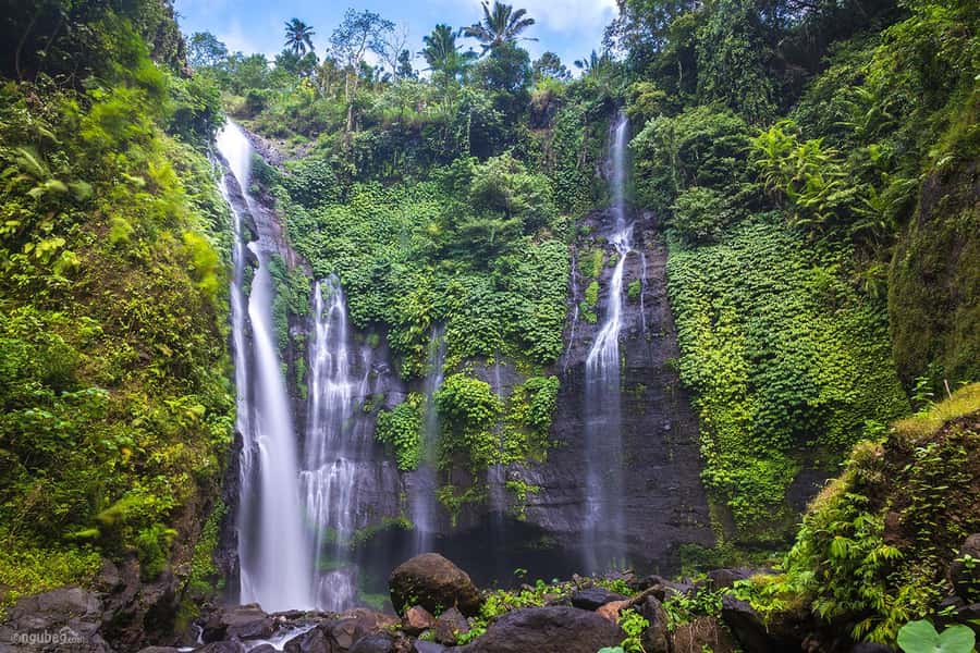 Munduk: Banyu Wana and Sekumpul Waterfall Trekking Tour - Twin Lakes Pause at Lake Buyan and Lake Tamblingan Viewpoints