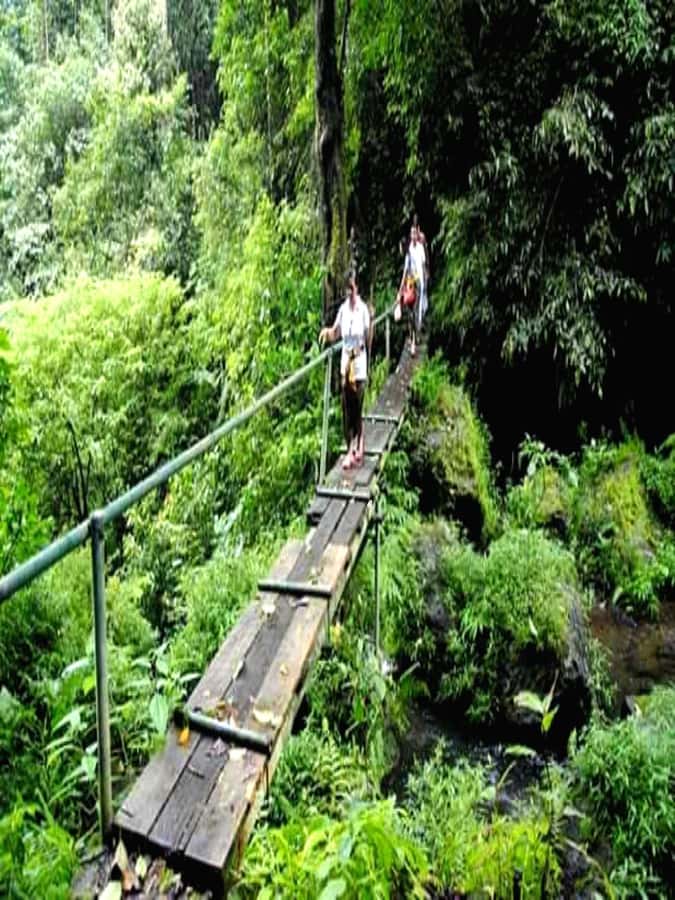 Munduk Jungle Trek to Banyumala & Pucak Manik – Private - Wanagiri Pucak Manik: A Cooler Start With Real Jungle Footing