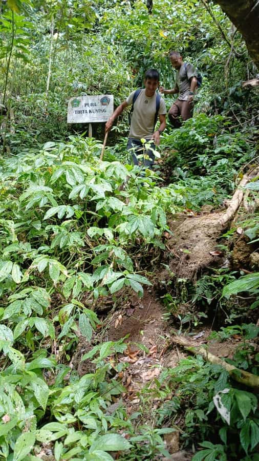 Munduk Jungle Trek to Banyumala & Pucak Manik – Private - Banyumala Twin Waterfalls: Where The Pool Swim Is The Payoff